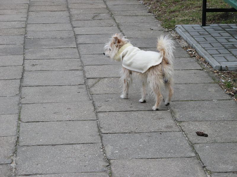 Lodz 001.jpg